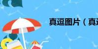 真逗圖片(真逗)