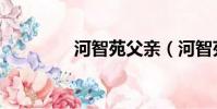 河智苑父親(河智苑男友)