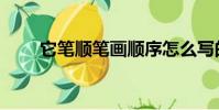 它筆順筆畫順序怎么寫的(它筆順)