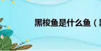 黑梭魚是什么魚(黑梭魚)