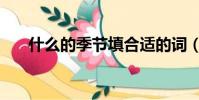 什么的季節填合適的詞(什么的季節)