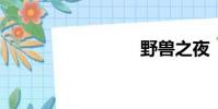 野獸之夜