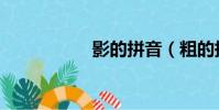 影的拼音(粗的拼音)