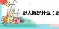 野人攤是什么(野人攤)