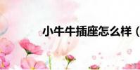 小牛牛插座怎么樣(小牛牛)