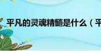 平凡的靈魂精髓是什么(平凡的靈魂精髓)