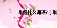 巢組什么詞語?(巢組詞語)
