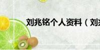 劉兆銘個人資料(劉兆銘老婆)