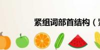 緊組詞部首結構(緊組詞)