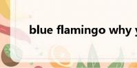 blue flamingo why you crying