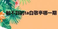 觸不到的ta白敬亭哪一期(觸不到的ta)