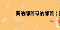 奏的部首琴的部首(奏的部首)