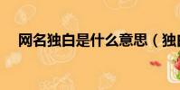 網名獨白是什么意思(獨白是什么意思)