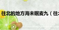 往北的地方海未眠麥九(往北的地方海未眠)