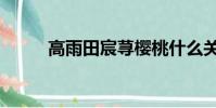 高雨田宸蕁櫻桃什么關系(高雨)