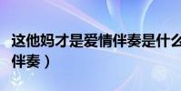 這他媽才是愛情伴奏是什么(這他媽才是愛情伴奏)