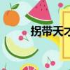 拐帶天才講述了什么（拐帶天才）