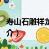 壽山石雕祥龍獻瑞（關于壽山石雕祥龍獻瑞簡介）