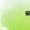 銀魂oped（銀魂op）
