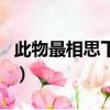 此物最相思下一句是什么（此物最相思上一句）