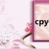 cpy破解游戲（cpy破解）