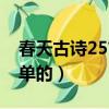 春天古詩25首簡單的春曉（春天古詩25首簡單的）