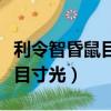 利令智昏鼠目寸光下一句是什么（利令智昏鼠目寸光）