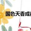 國色天香成都門票價格（國色天香 成都）