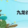九龍谷在哪個地方（九龍谷）