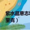 紫水晶意志塔里克絕版了么（紫水晶意志 塔里克）