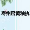 壽州窯黃釉執壺（關于壽州窯黃釉執壺簡介）