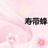 壽帶蜂鳥（關于壽帶蜂鳥簡介）