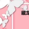 藏龍出海3（藏龍出海1）