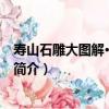壽山石雕大圖解·花鳥圓雕（關于壽山石雕大圖解·花鳥圓雕簡介）