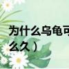 為什么烏龜可以活這么久（烏龜為什么能活那么久）
