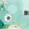 張整（關于張整介紹）