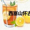 西塞山懷古作者是（西塞山懷古作者）