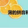 薄的拼音和組詞語（薄的拼音和組詞）