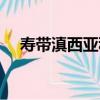 壽帶滇西亞種（關于壽帶滇西亞種簡介）