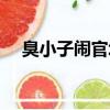 臭小子鬧官場在線收聽（臭小子鬧官場）