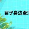 君子身邊牽只羊,頭戴小帽稱大王猜四個字