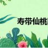 壽帶仙桃圖（關于壽帶仙桃圖簡介）
