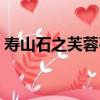 壽山石之芙蓉石（關于壽山石之芙蓉石簡介）