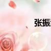 張振江（關于張振江介紹）