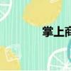 掌上商城優惠券（掌上優惠）
