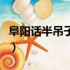 阜陽話半吊子是什么意思（半吊子是什么意思）