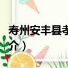 壽州安豐縣孝門銘（關于壽州安豐縣孝門銘簡介）