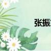 張振文（關于張振文介紹）