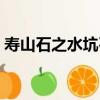 壽山石之水坑石（關于壽山石之水坑石簡介）