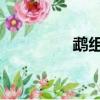 鵡組詞 兩個字（鵡組詞）
